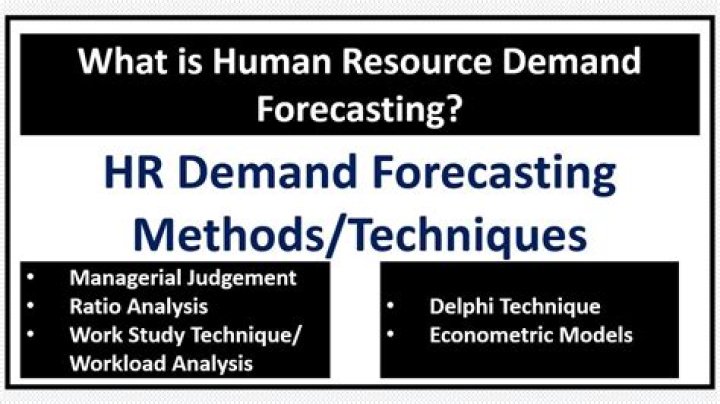 What are the two common forecasting techniques used to project the organizations demand for human resources