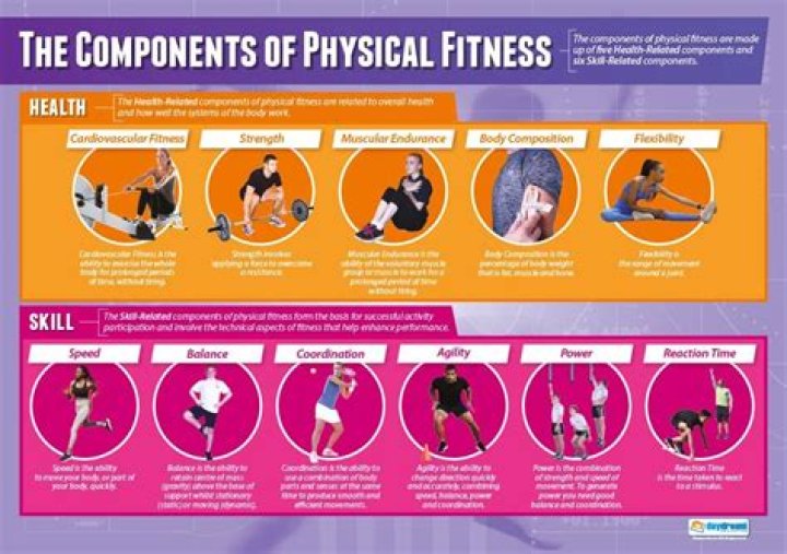 What are the two component of physical education