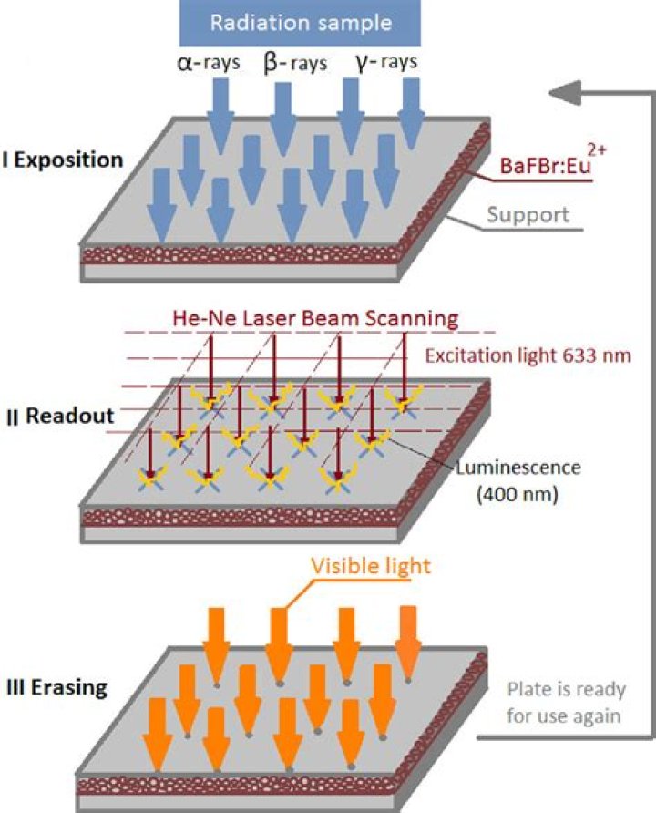 What are the types of autoradiography?