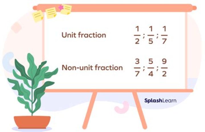 What are unit and non unit fractions