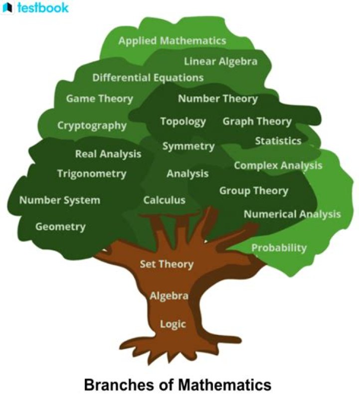 What branch of mathematics uses variables?
