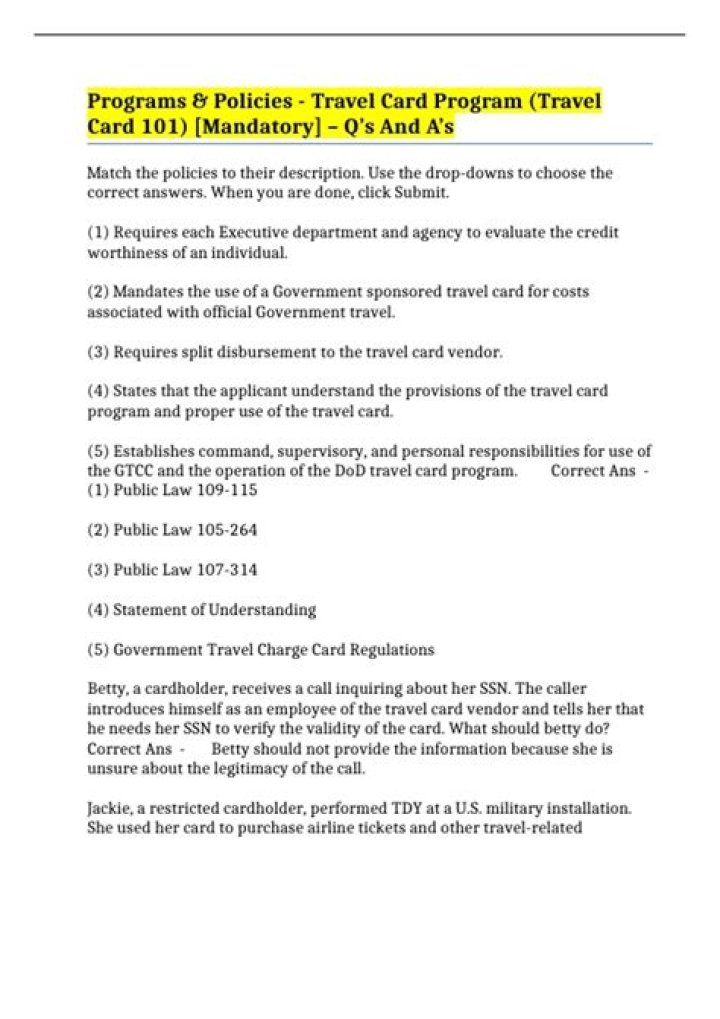 What can a government travel card be used for