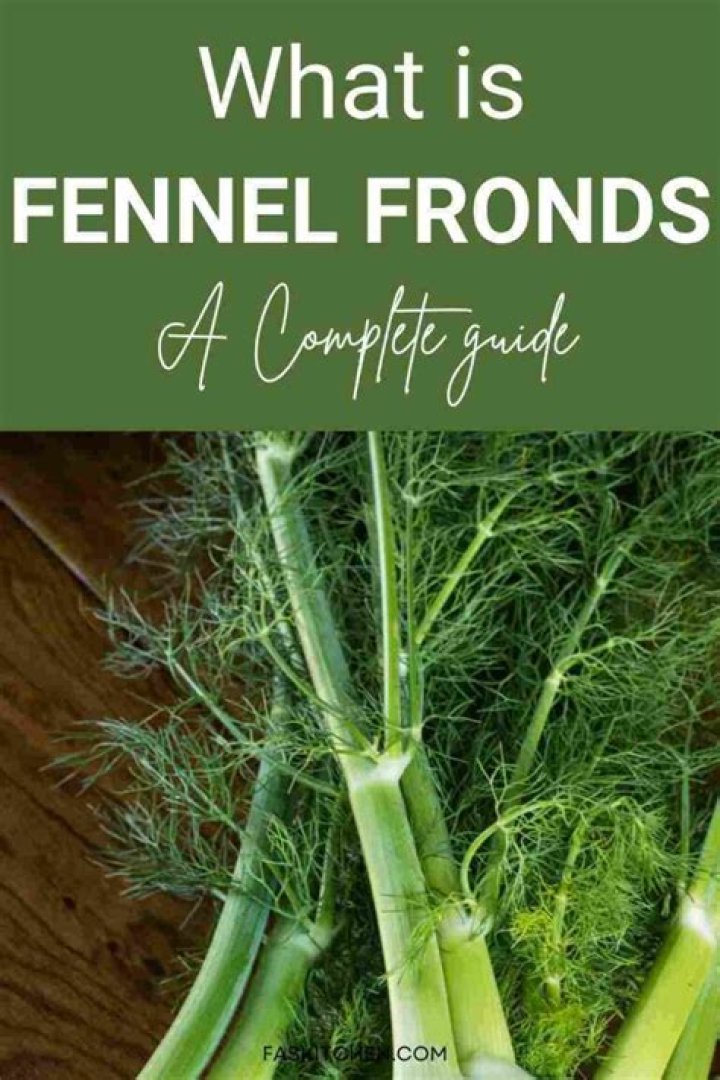 What can I do with fennel stems and fronds