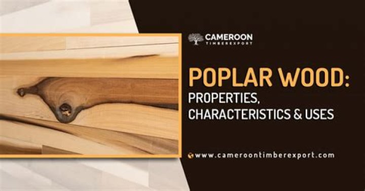 What can you use poplar wood for?