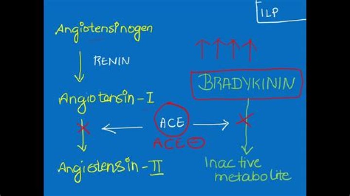 What causes cough in ACE inhibitors