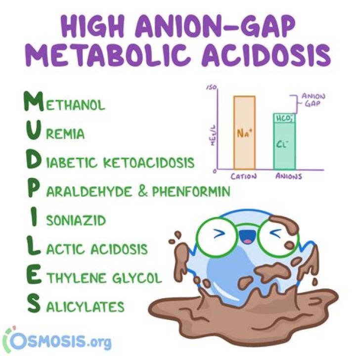 What causes high anion gap