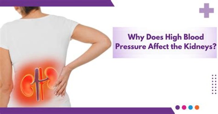 what causes high blood pressure and kidney problems