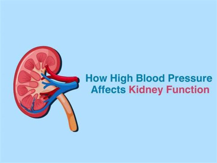 what causes high blood pressure kidneys