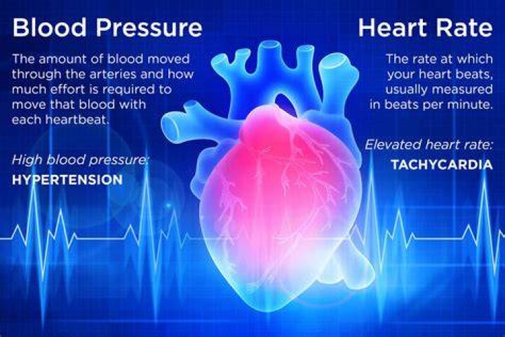 what causes high blood pressure low heart rate