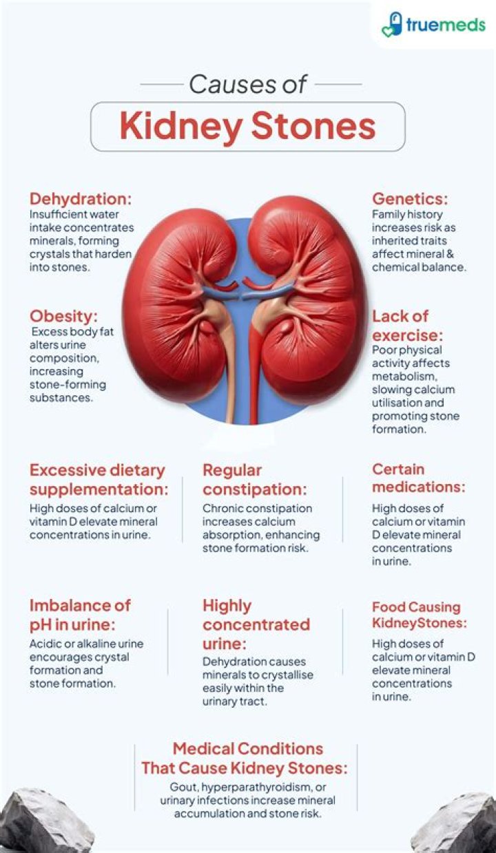 what causes kidney stones cats