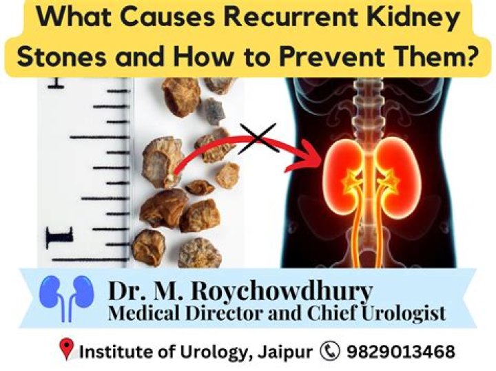 what causes kidney stones in male dogs