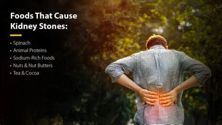 what causes kidney stones in rabbits