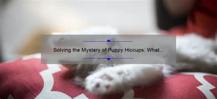 what causes puppy hiccups