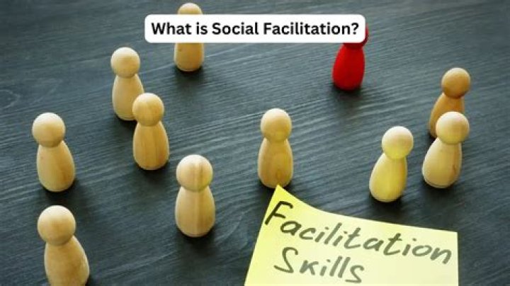 What causes social facilitation