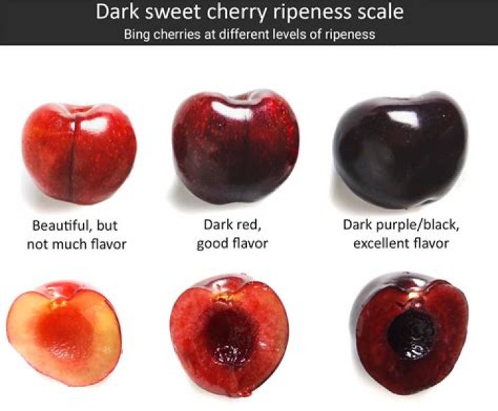 What color is black Cherry Chutney?