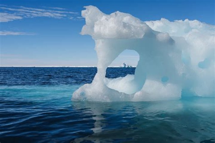 What color is iceberg white?