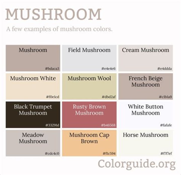 What color is mushroom Colour