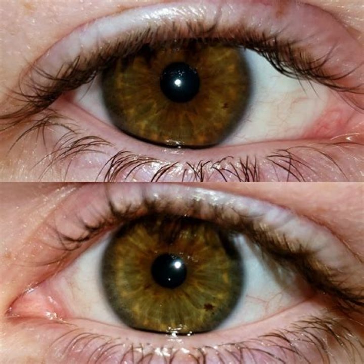 what colors make brown eyes look green