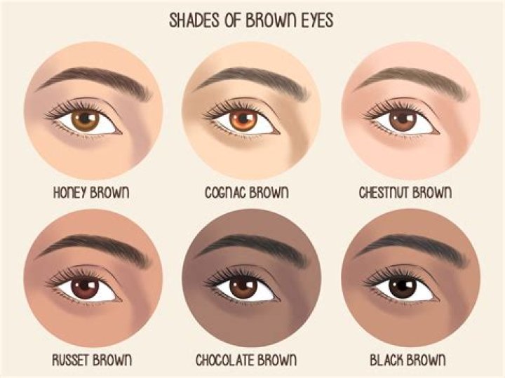what colors make brown eyes look lighter