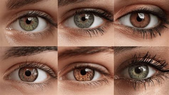 what colors make brown hazel eyes pop