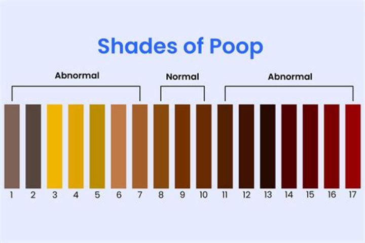 what colors make poop brown