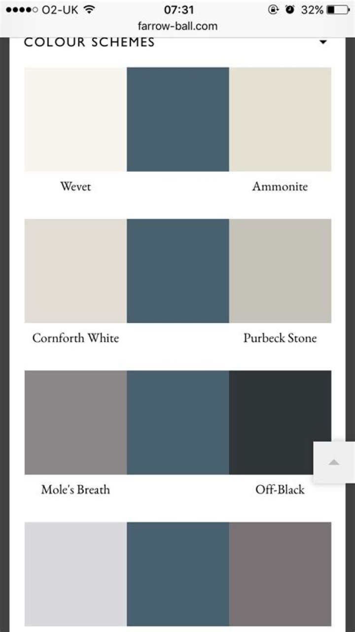 what colour goes with hague blue