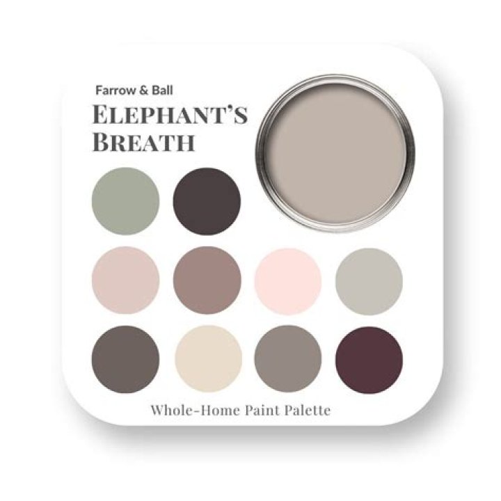 ,What Colour is Elephants Breath paint?,A warm mid grey