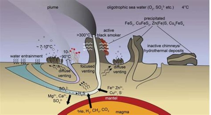 What comes out of hydrothermal vents
