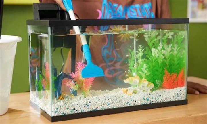 What decorations are safe for fish tanks