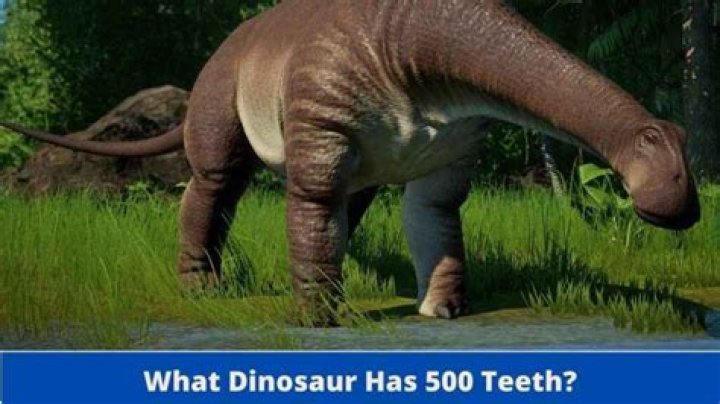 what dinosaur has 500 teeth for