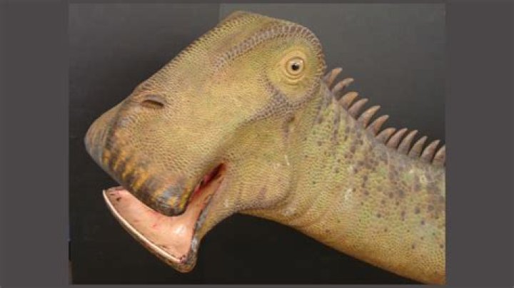 what dinosaur has 5000 teeth