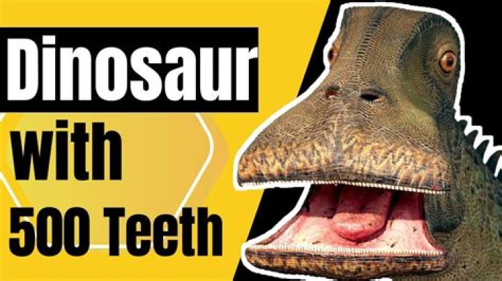 what dinosaur has five 500 teeth