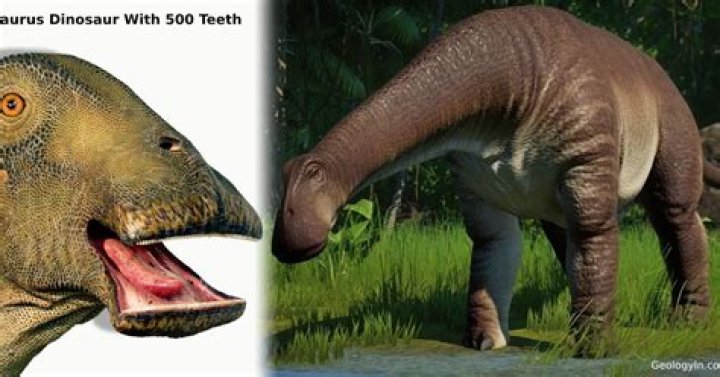 what dinosaur has over 500 teeth