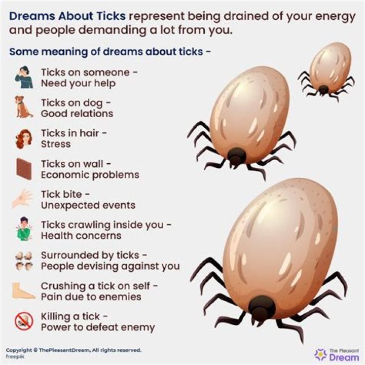 What do ticks mean in a dream