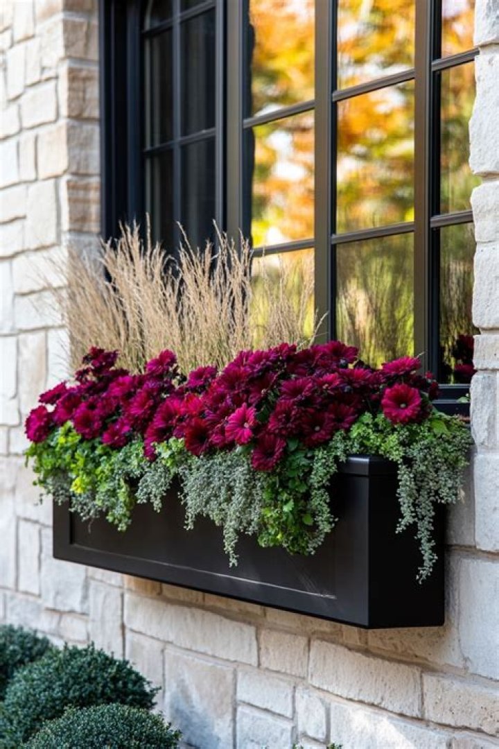 What do you put in fall window boxes