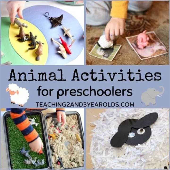 What do you teach preschoolers about animals?