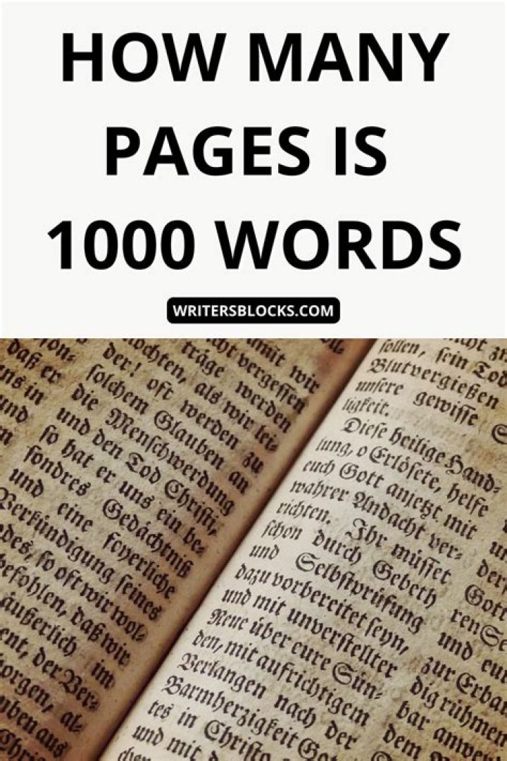 What does 1000 word count look like?