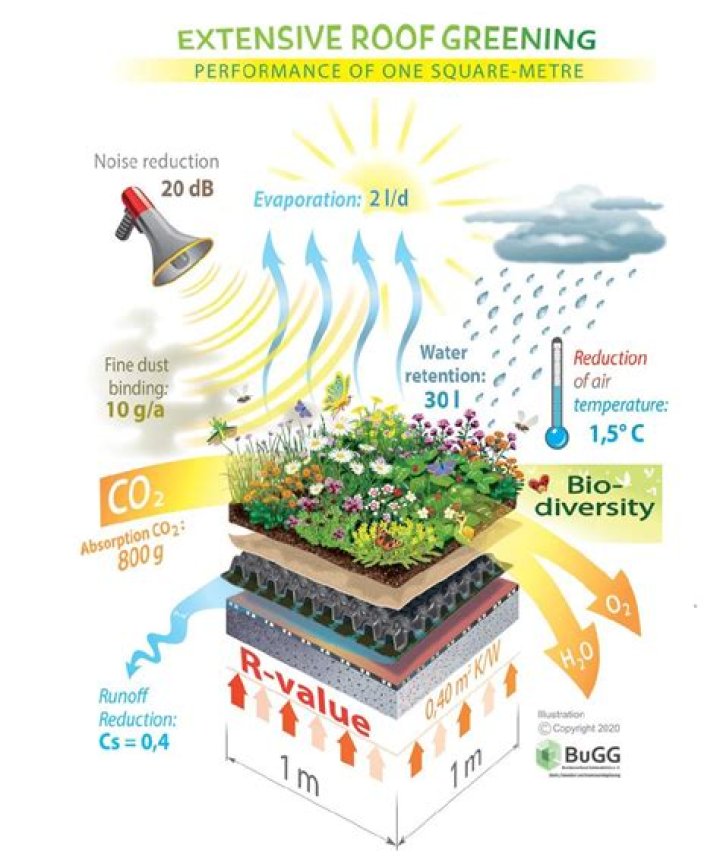 What does a green roof do
