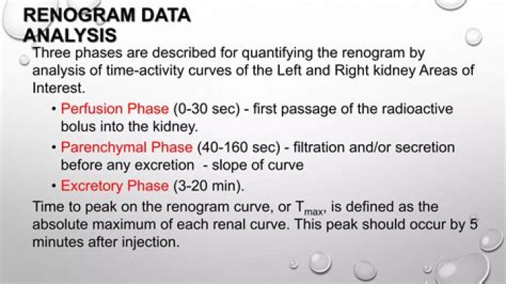 What does a Renogram show