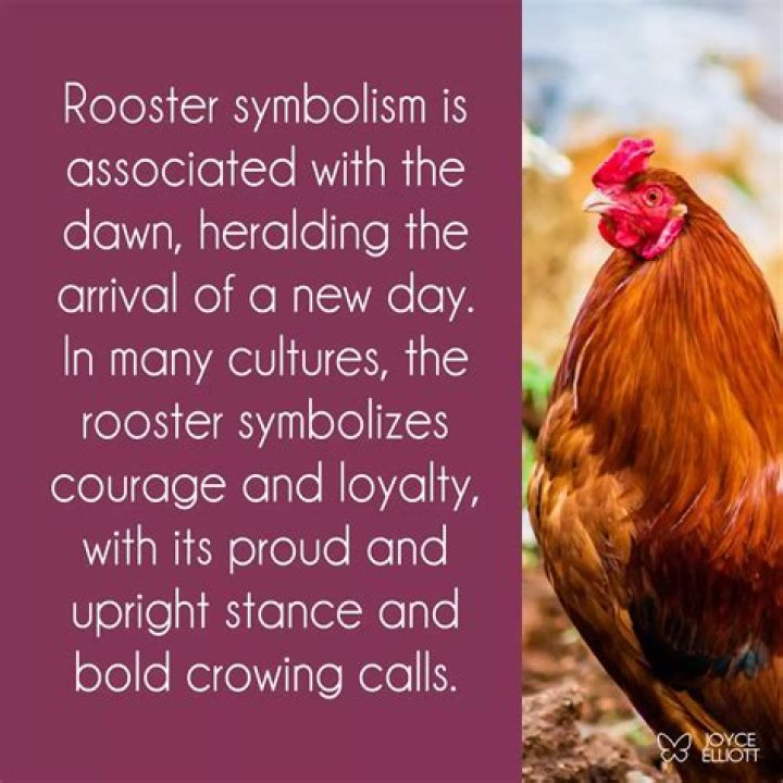 what does a rooster symbolize