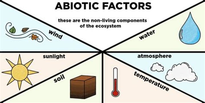 What does abiotic mean in science
