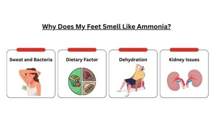 what does ammonia smell like