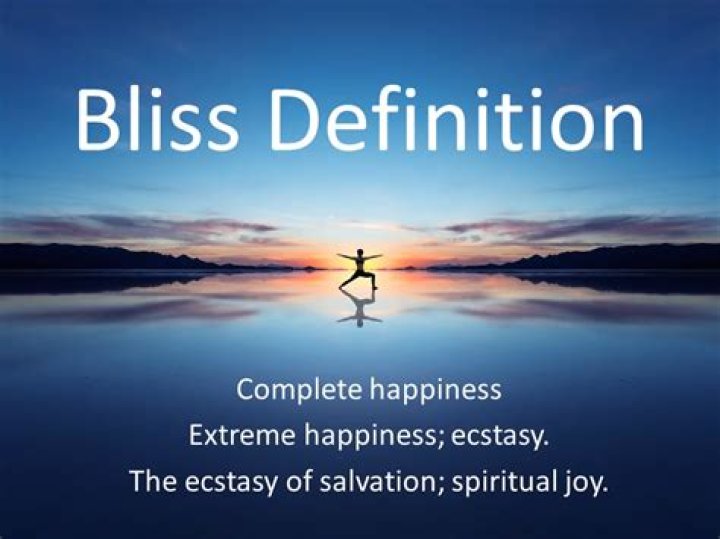 what does bliss mean