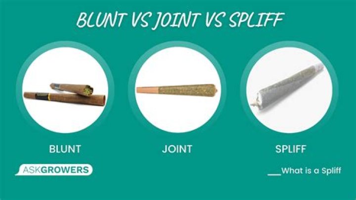 what does blunt mean