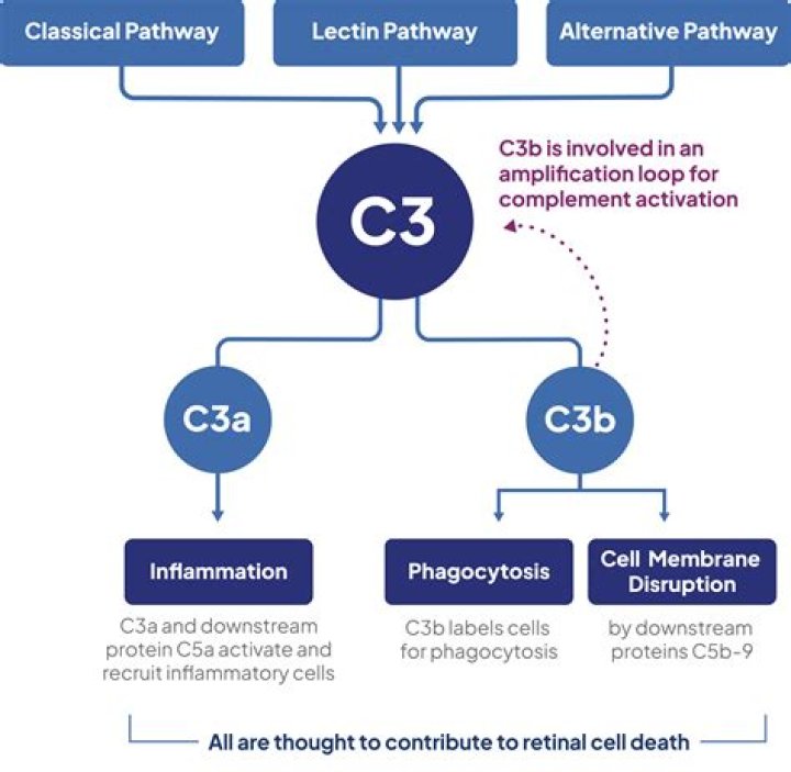 What does c3 condition mean