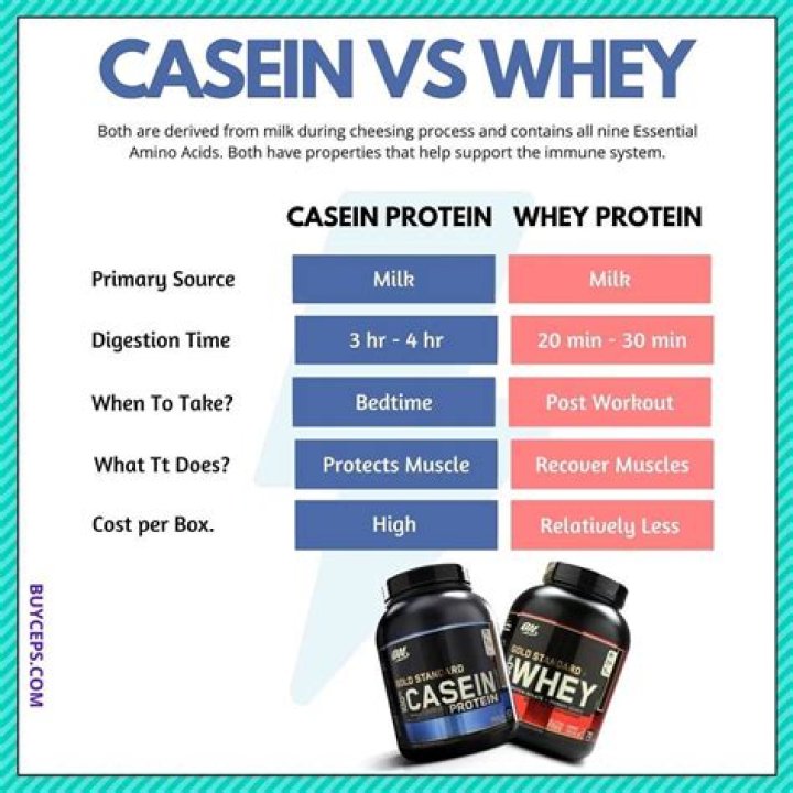 What does casein protein do for your body