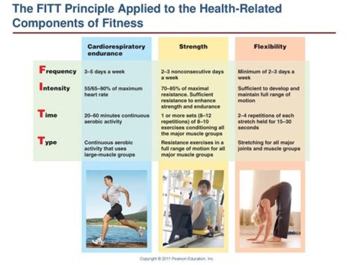 What does Fitt stand for describe each component of Fitt?