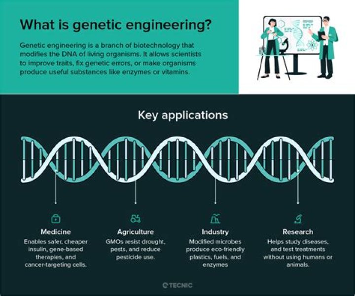 What does genetic engineering mean in Gattaca
