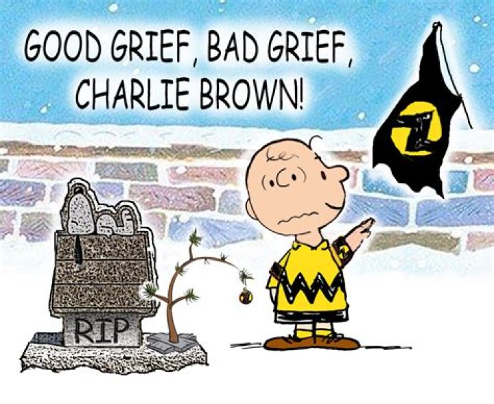 What does Good grief Charlie Brown mean