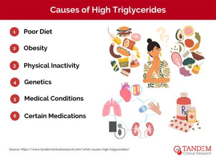What does high triglycerides mean in a child